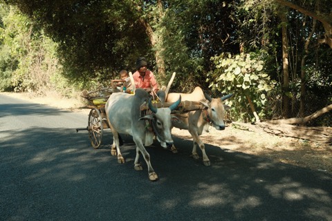 India, frame 2
