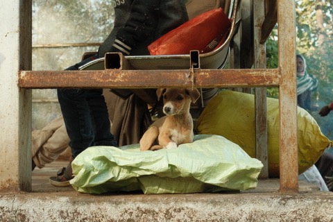 India, frame 10