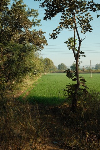 India, frame 16