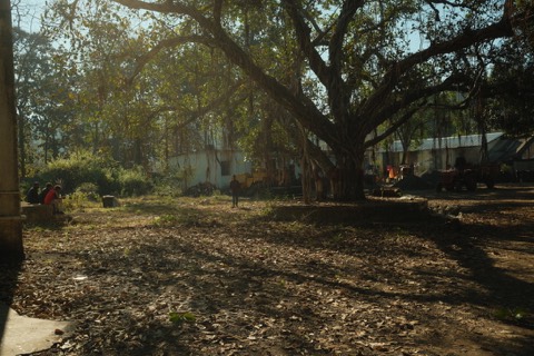 India, frame 14