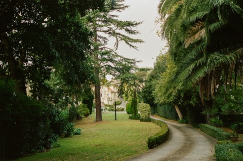 Life, frame 6