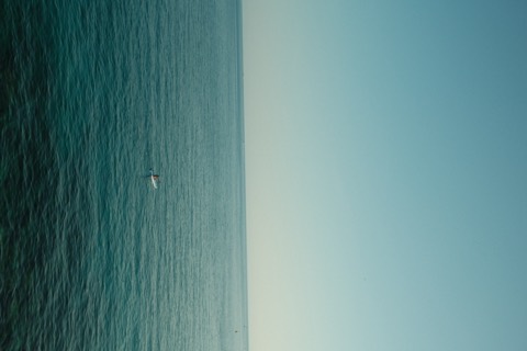 Travel, frame 33
